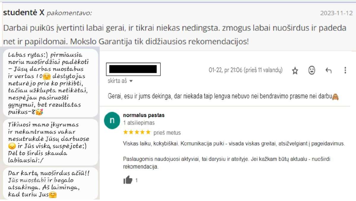Profesionali Pagalba Studentams/ Verslo Planai - nuotraukos Nr. 5