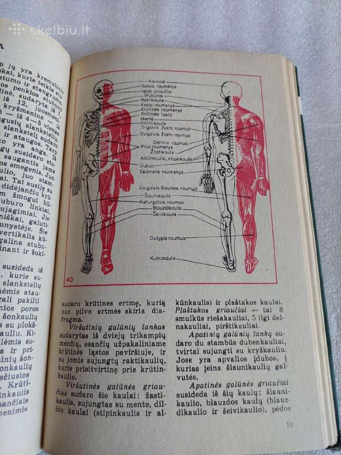 Biologija. Informacinė medžiaga - nuotraukos Nr. 5