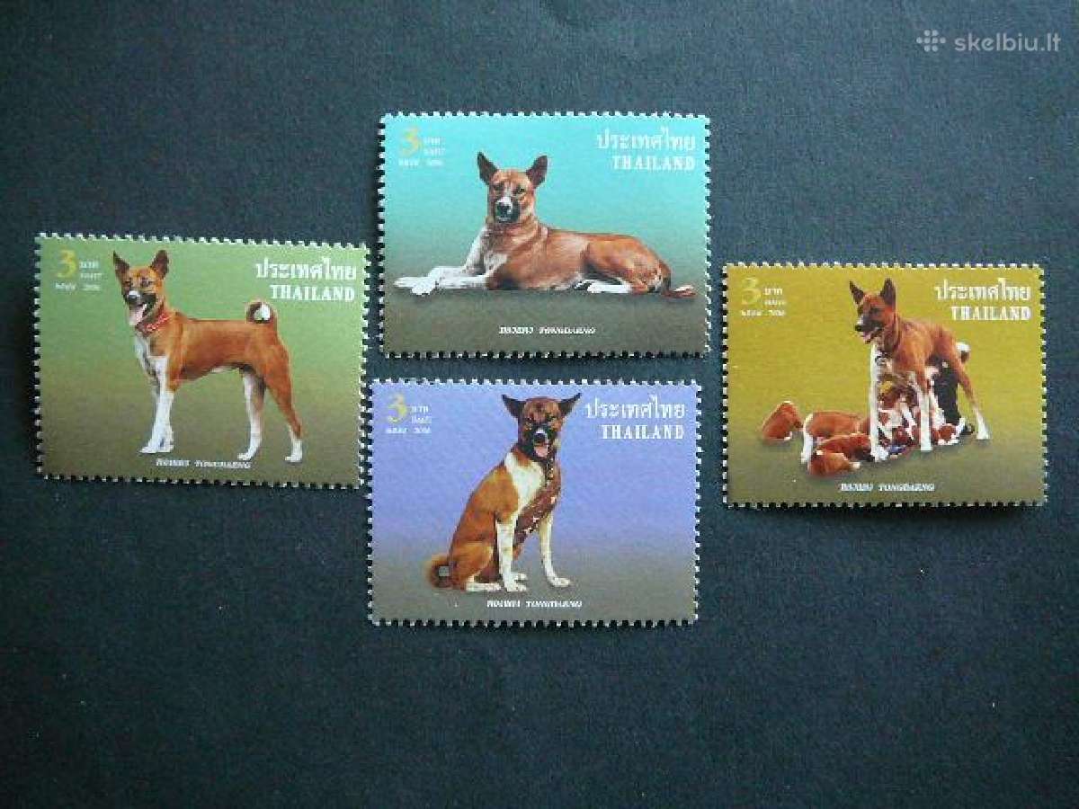 Sunys Tailandas 2006 Mnh tnd844
