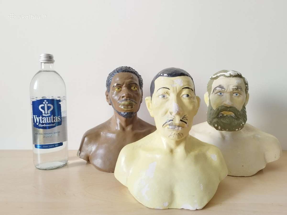 Tarybinių laikų mokomieji rasių biustai - nuotraukos Nr. 12
