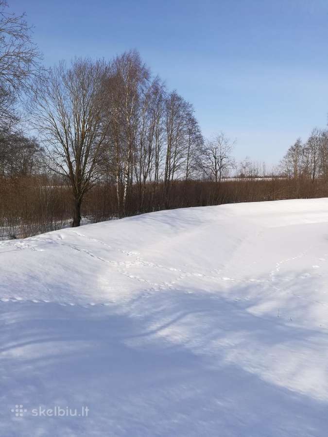 1,33ha sklypas prie Šiaulių jūros - nuotraukos Nr. 27