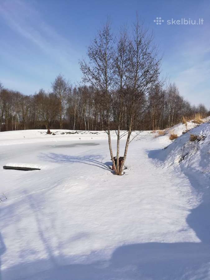 1,33ha sklypas prie Šiaulių jūros - nuotraukos Nr. 28