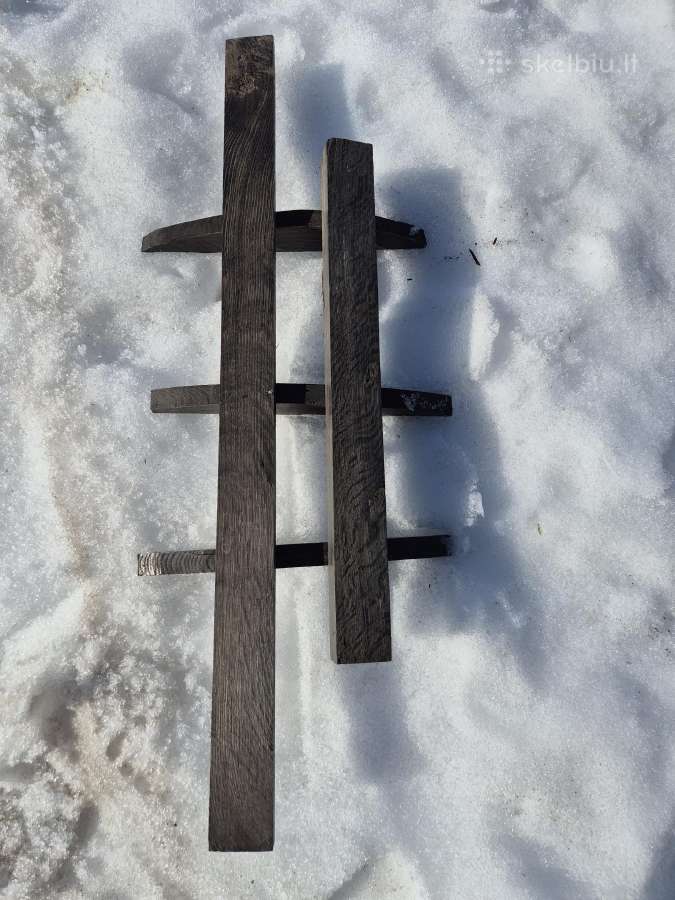 Juodasis ąžuolas - nuotraukos Nr. 4
