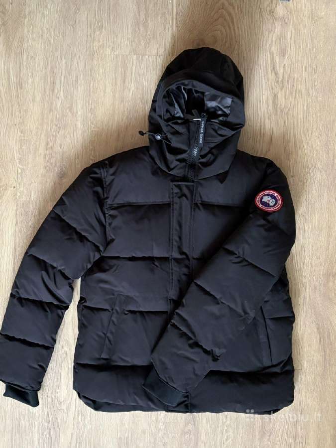 Canada goose striukė