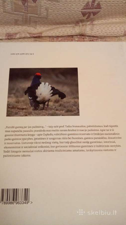 Didžiųjų girių apsupty - nuotraukos Nr. 10