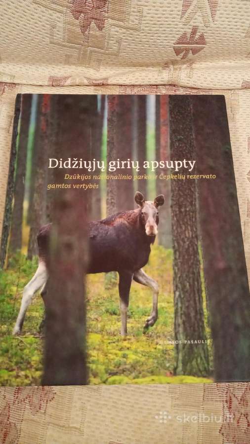 Didžiųjų girių apsupty