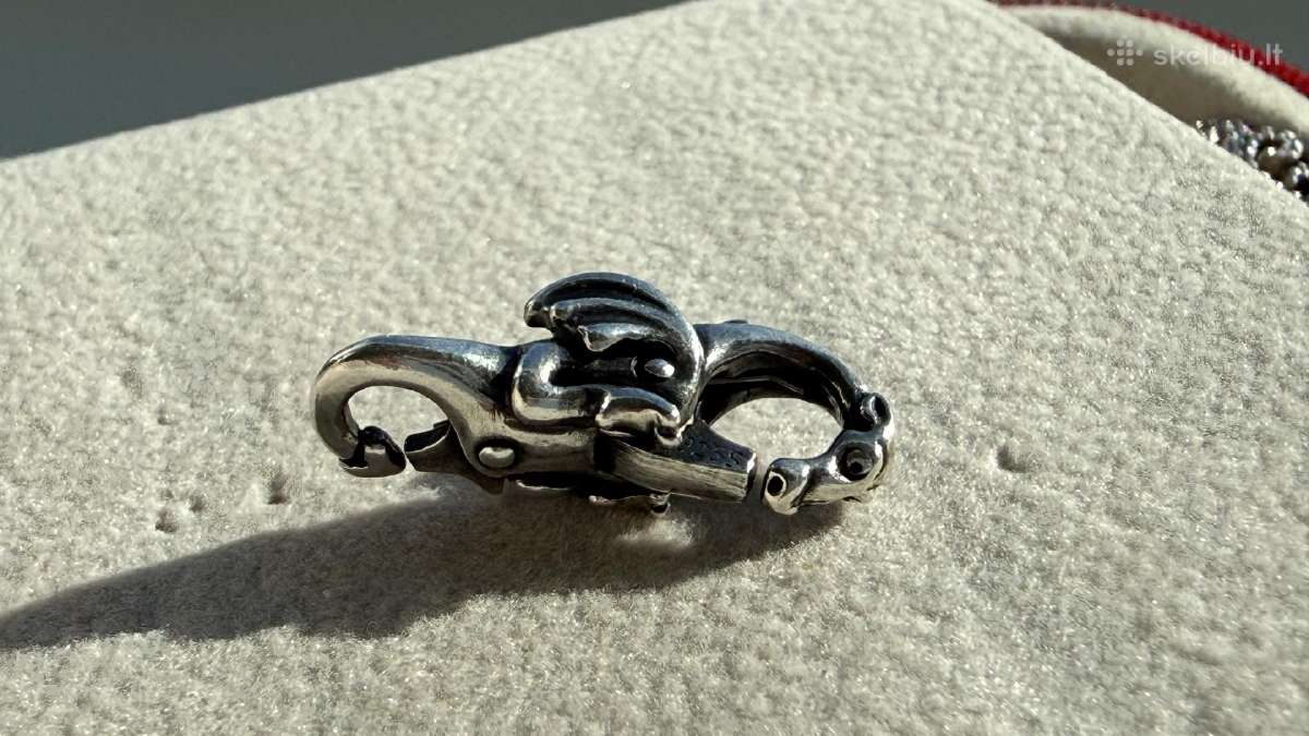 Drakonas, Trollbeads užsegimas - nuotraukos Nr. 5
