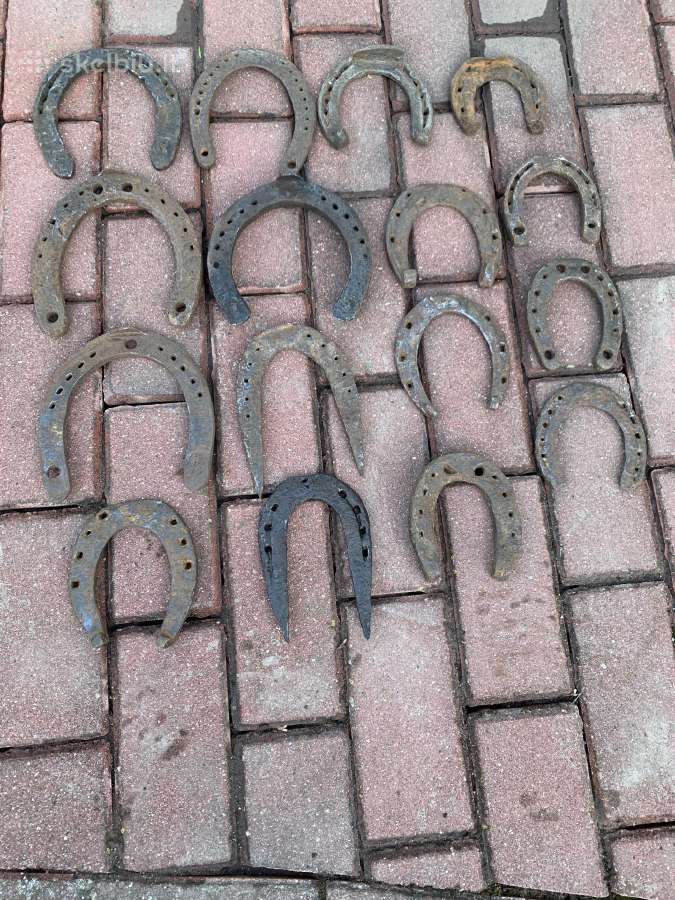 Pasagos