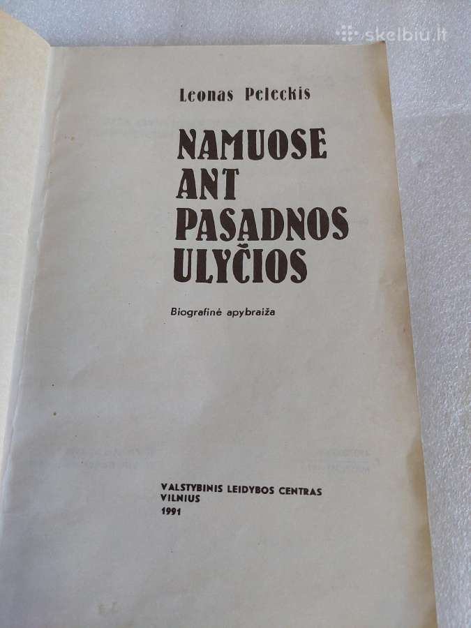 Namuose ant Pasadnos ulyčios - nuotraukos Nr. 2