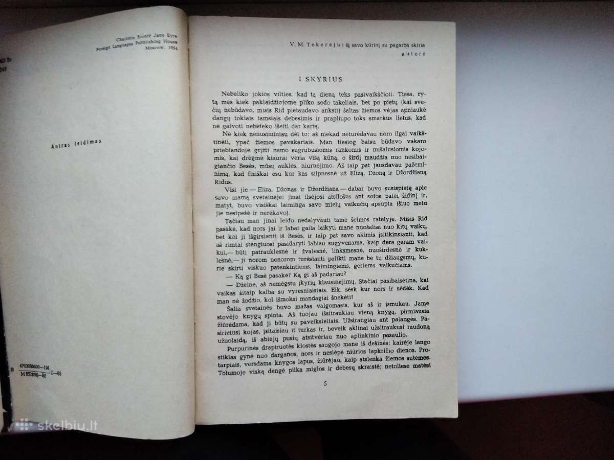 Erškėčių paukščiai. Džeinė Eir. - nuotraukos Nr. 12