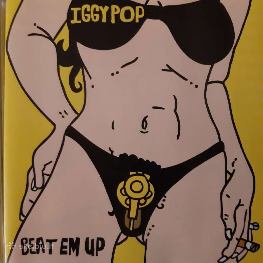 Pop ir Rock muzika - nuotraukos Nr. 18