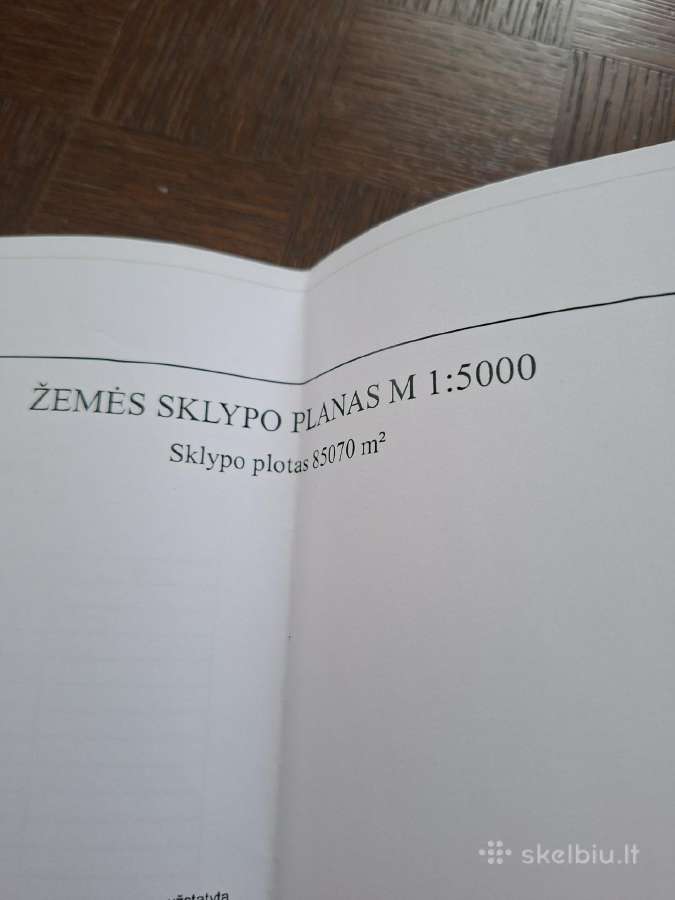 Žemės sklypas su mišku - nuotraukos Nr. 4