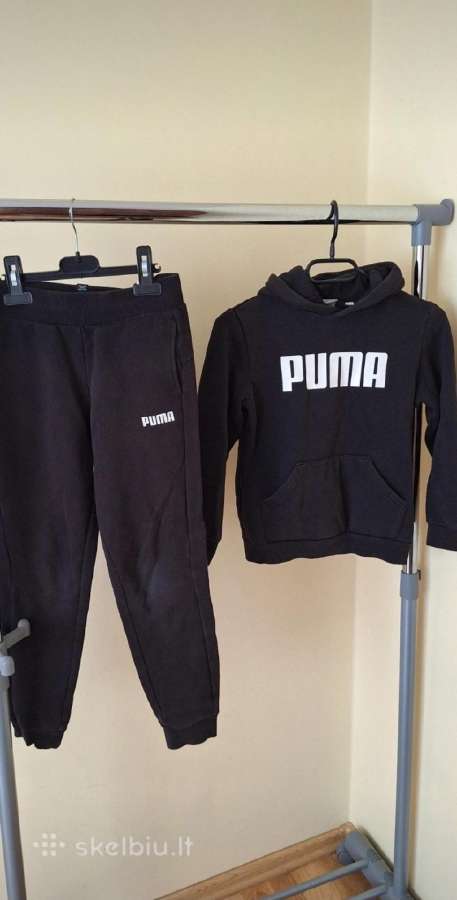Puma treiningai