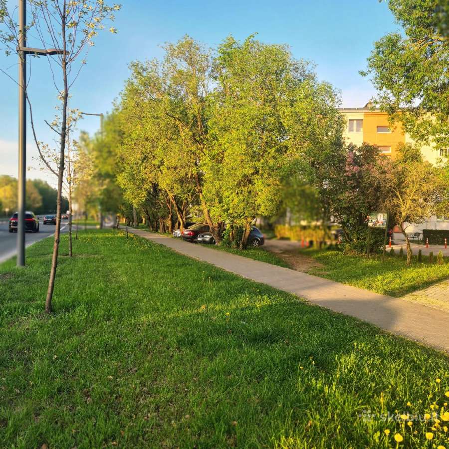 1 kambario butas su balkonu, nemokamas parkingas - nuotraukos Nr. 14