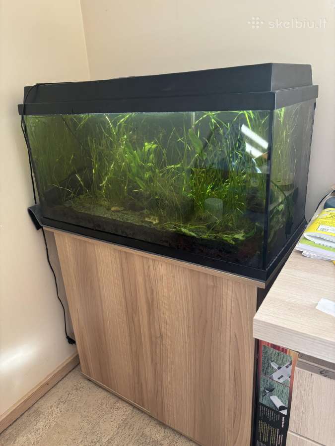 Pilnas akvariumo komplektas 110l su spin
