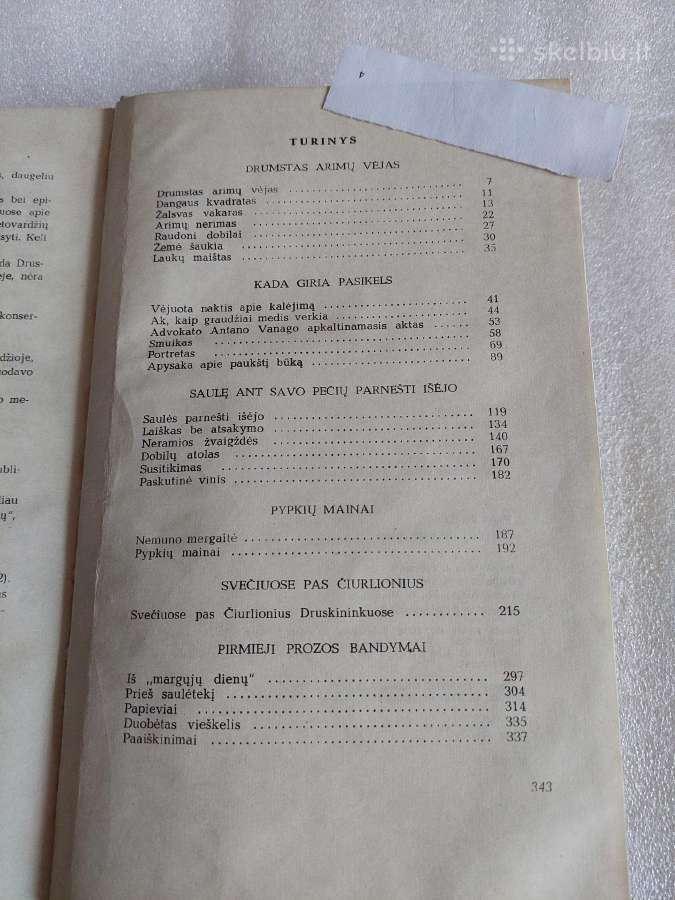 Saulės parnešti išėjo - nuotraukos Nr. 3