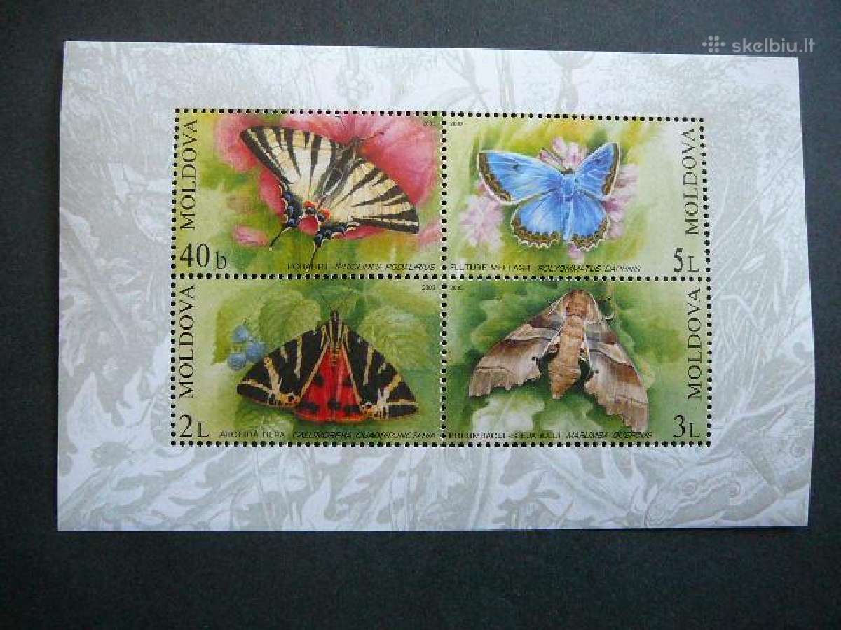 Drugeliai Moldavija 2003 Mnh md96s