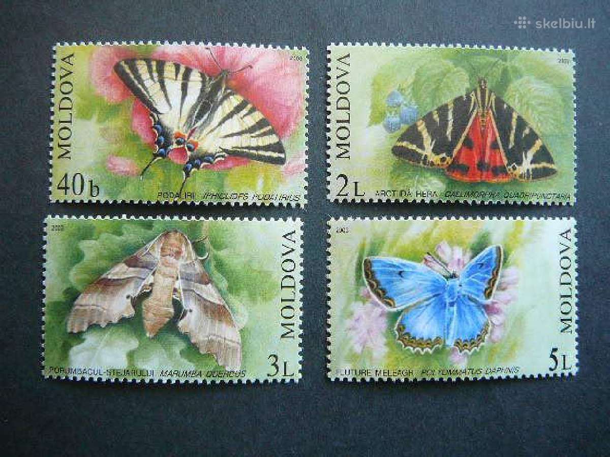 Drugeliai Moldavija 2003 Mnh md97s