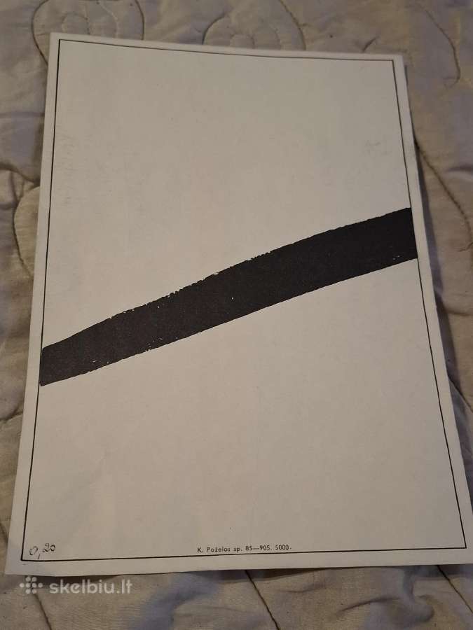Programėlė - nuotraukos Nr. 8