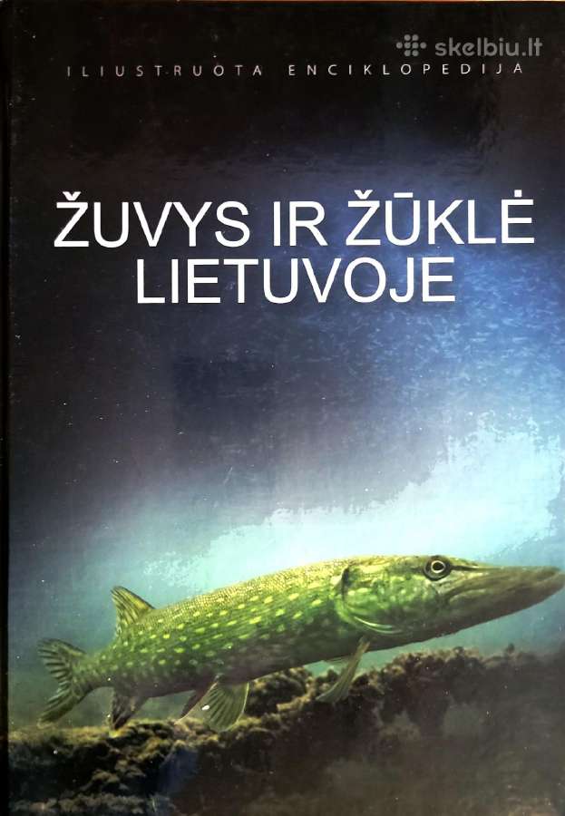 Žuvys Ir Žūklė Lietuvoje