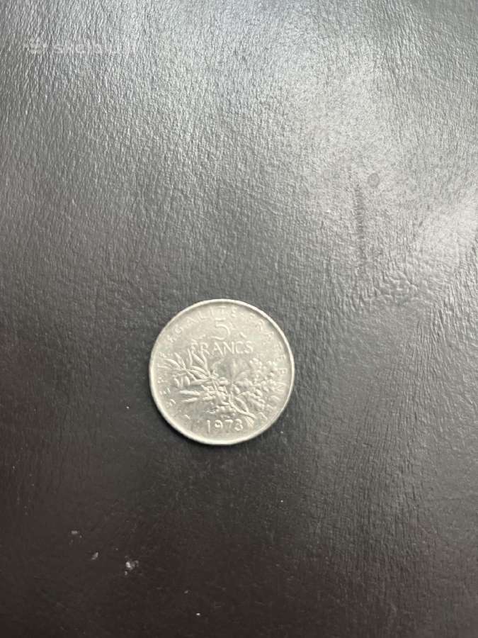 Puse dolerio moneta
