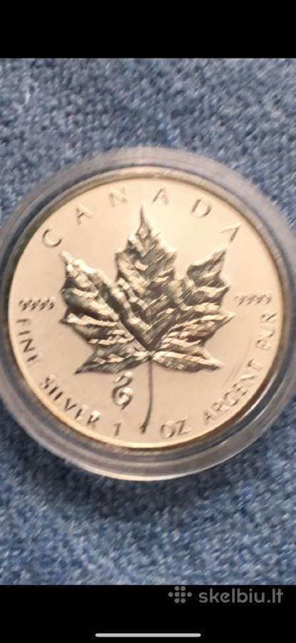 Moneta Canada 2013m. 5 dollars, sidabras(.999)