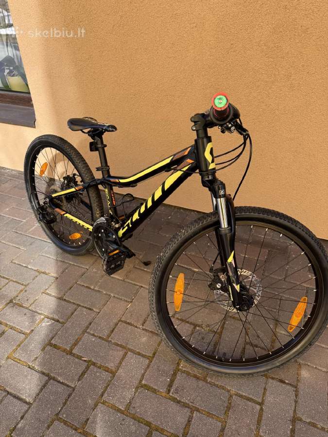 Scott Scale Jr 24 - nuotraukos Nr. 7