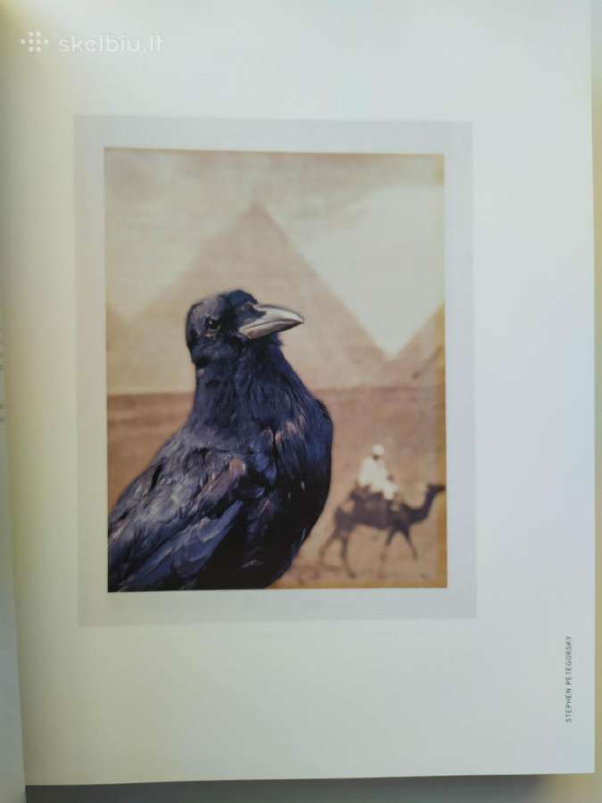 Taschen: The Polaroid Book (kolekcinis leidimas) - nuotraukos Nr. 5