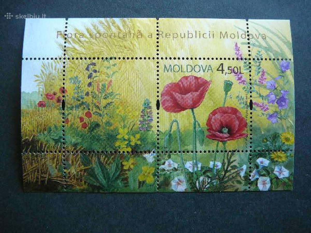 Geles Flora Moldavija 2009 Mnh md26