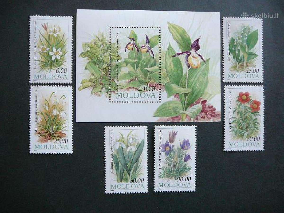 Orchidejos Geles Moldavija 1993 Mnh md34
