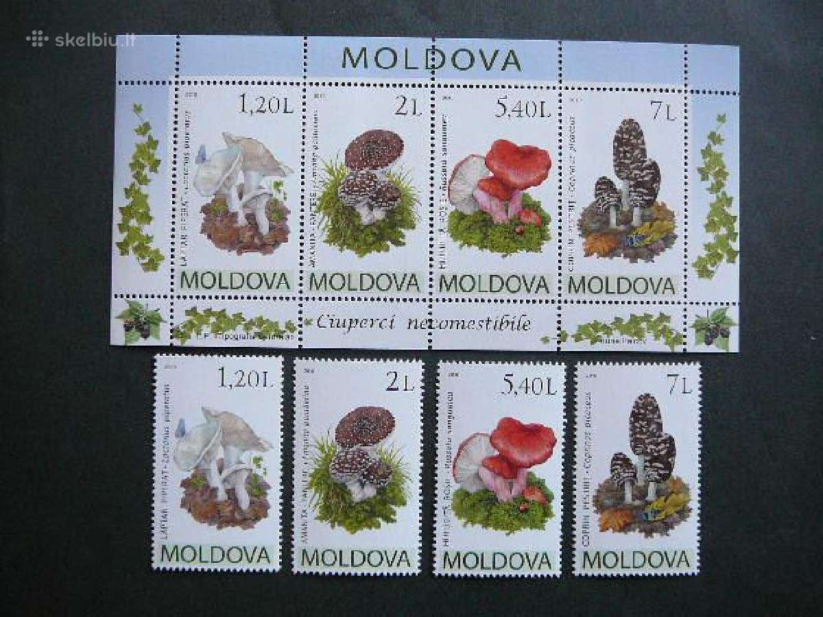 Grybai Moldavija 2010 Mnh md37