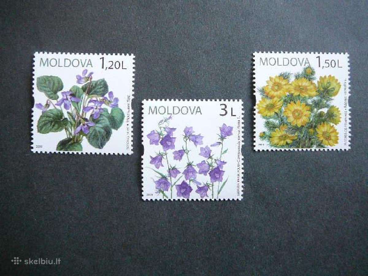 Geles Moldavija 2009 Mnh md38