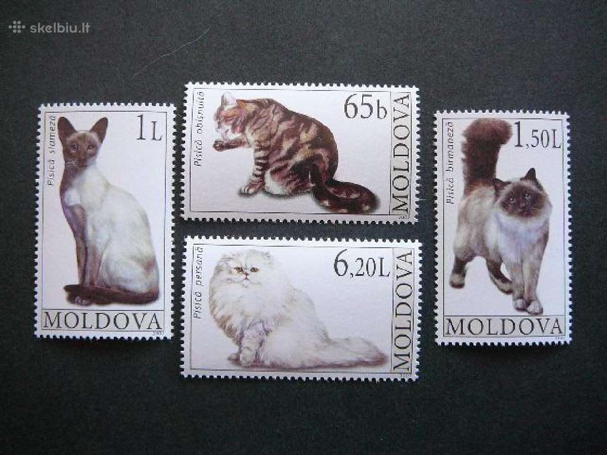 Kates Moldavija 2007 Mnh md40