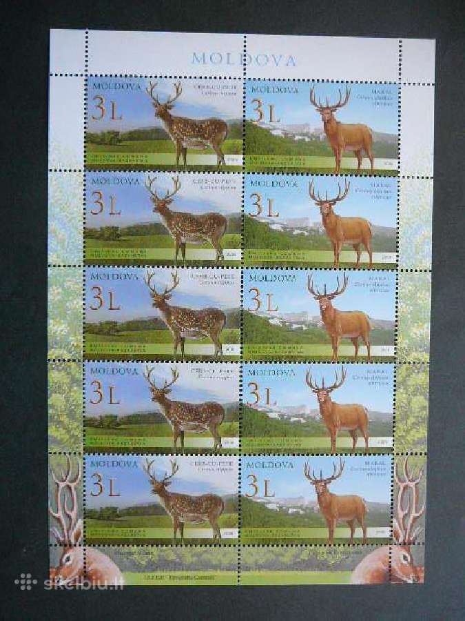 Elniai Moldavija 2008 Mnh md42