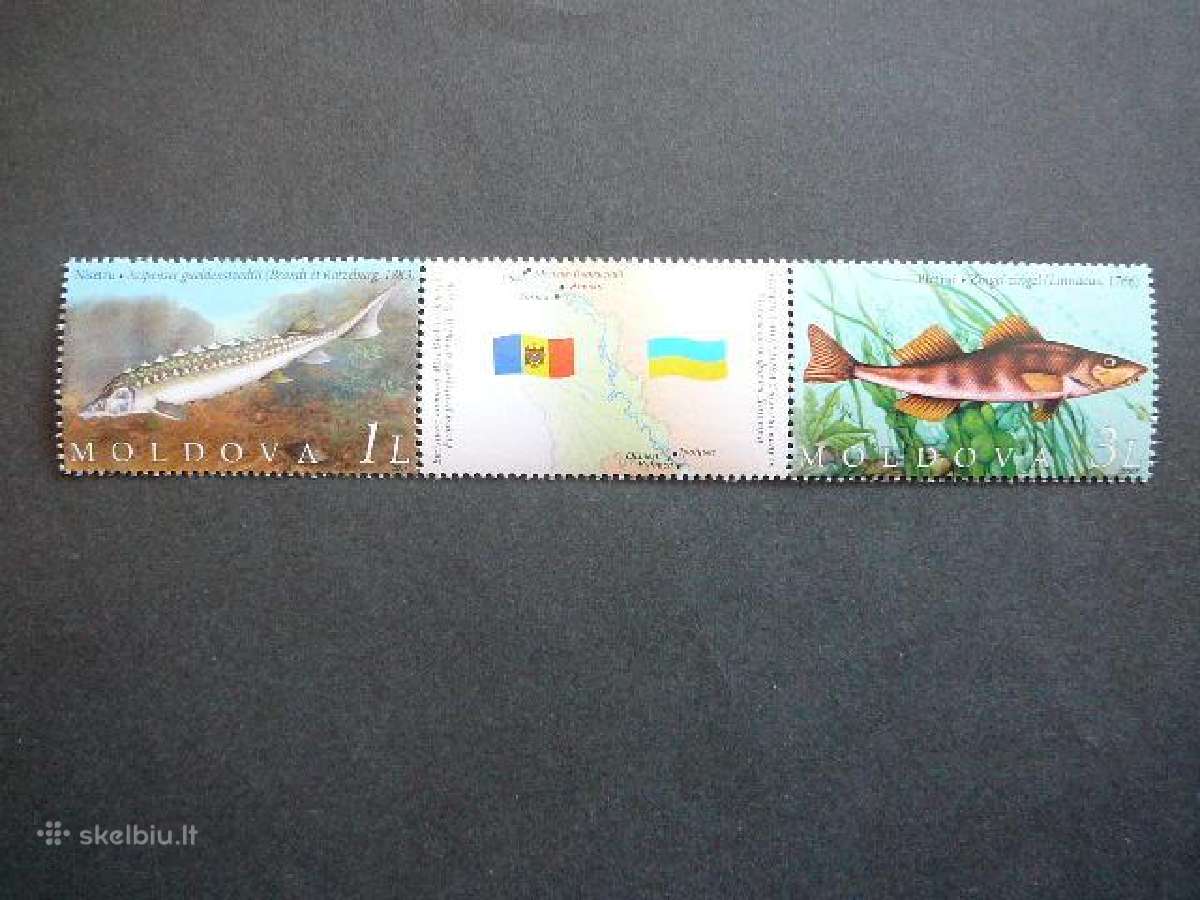 Zuvys Moldavija 2007 Mnh md43