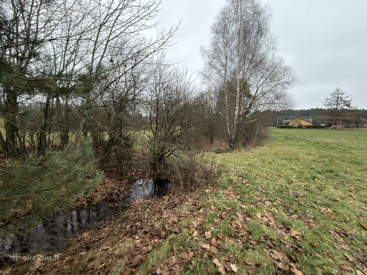 45,2 a namų valda Nemuno kilpų regioniniame parke - nuotraukos Nr. 10