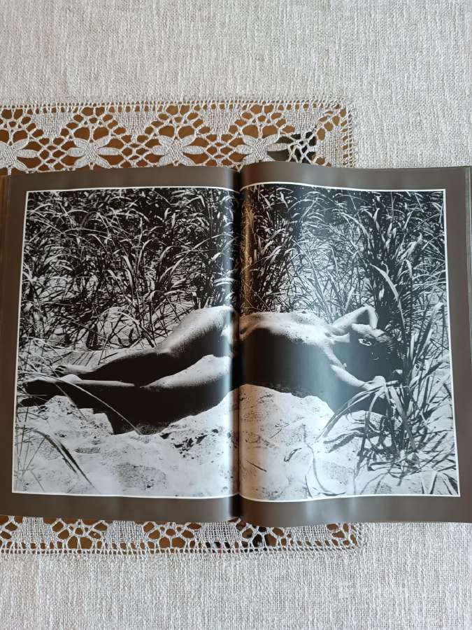 Albumas Žiedai tarp žiedų R.dichavičius - nuotraukos Nr. 9
