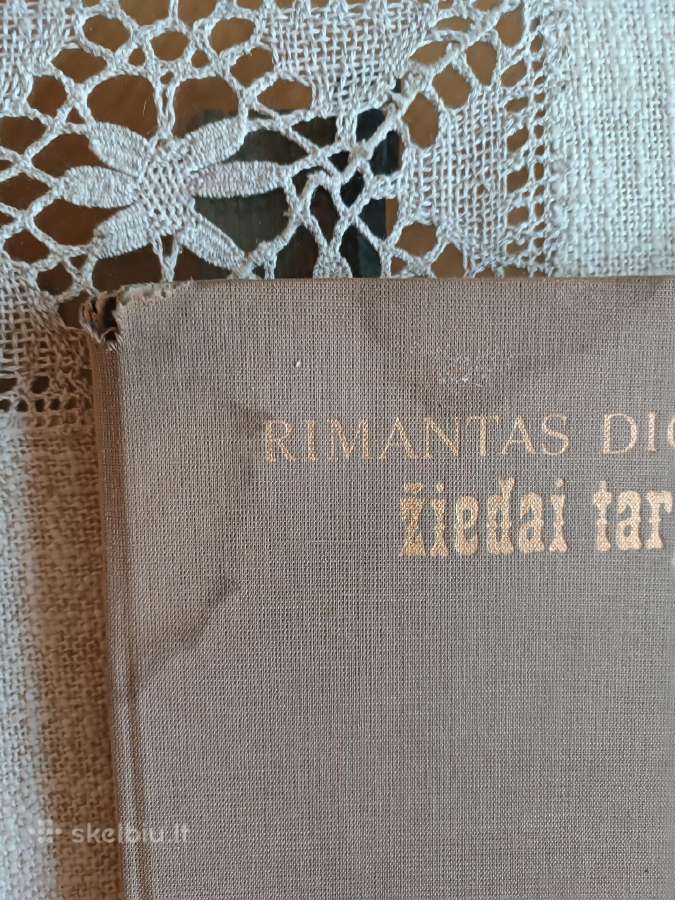 Albumas Žiedai tarp žiedų R.dichavičius - nuotraukos Nr. 19