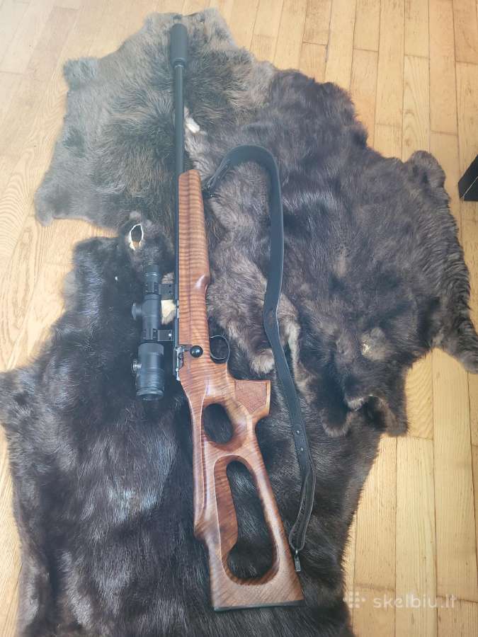 Anchus 22lr