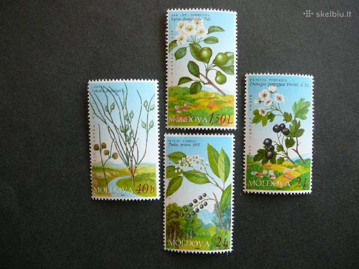 Geles Augalai Moldavija 2004 Mnh md46