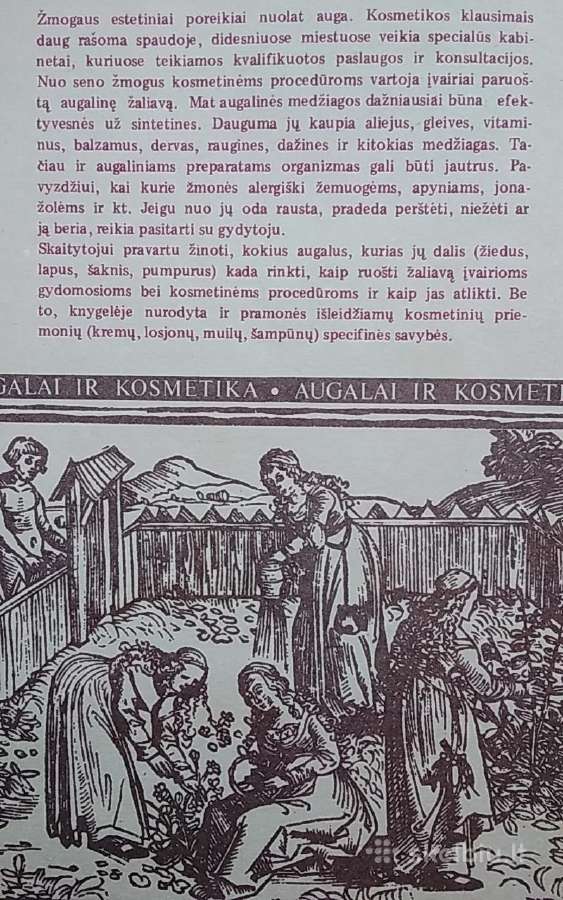Augalai ir kosmetika. - nuotraukos Nr. 3