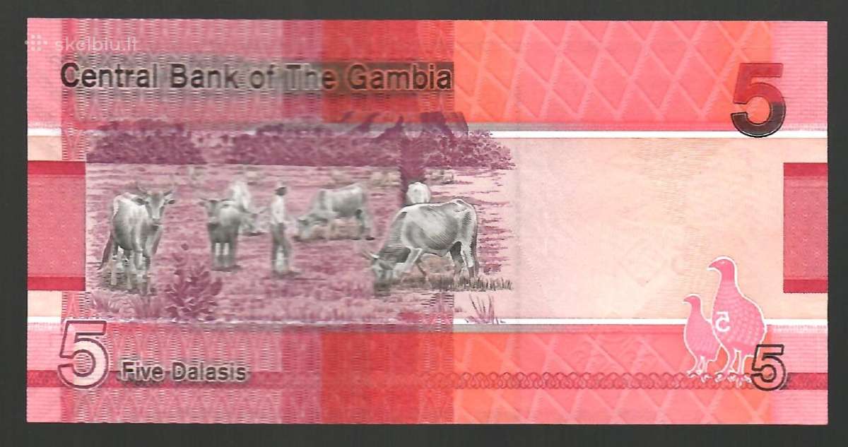 Gambijos banknotai - nuotraukos Nr. 2