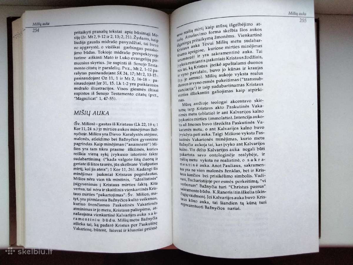 Č. Kavaliauskas. Trumpas teologijos žodynas - nuotraukos Nr. 10