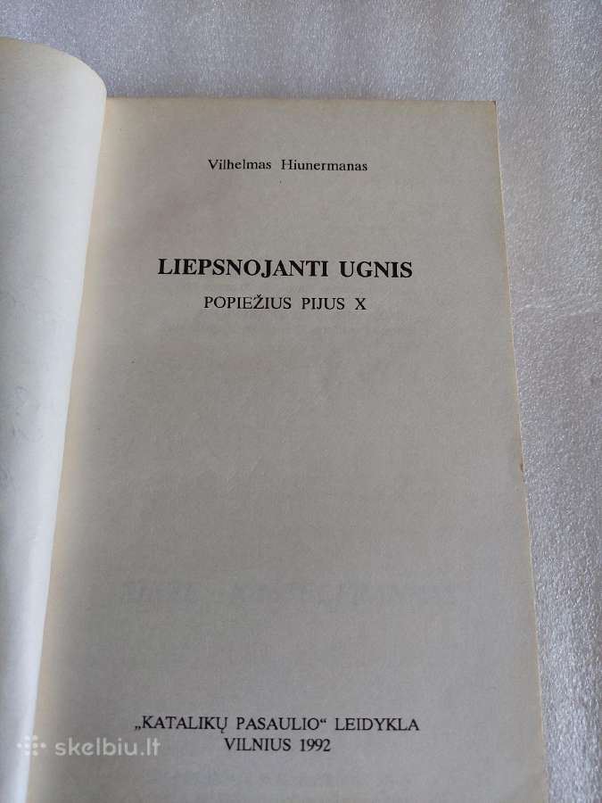 Liepsnojanti ugnis - nuotraukos Nr. 2