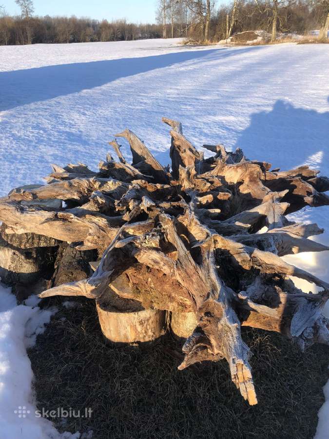 Ruošinys stalui iš ąžuolo