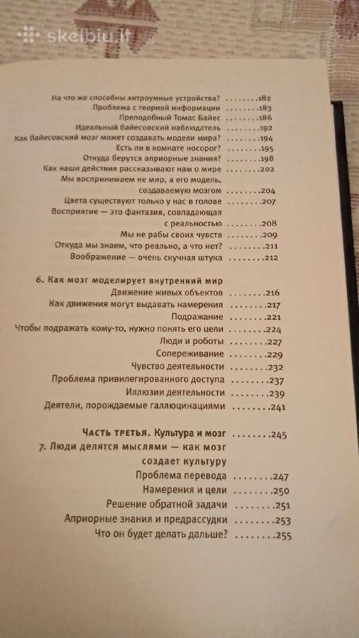 Smegenys ir siela - nuotraukos Nr. 6