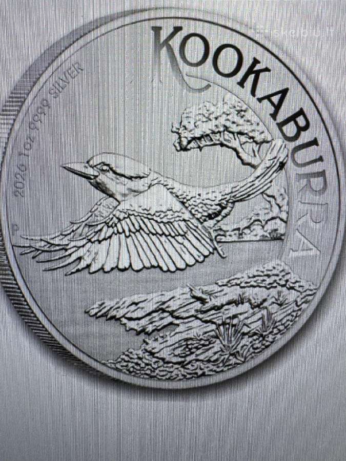 Sidabrine moneta 1 oz 2026