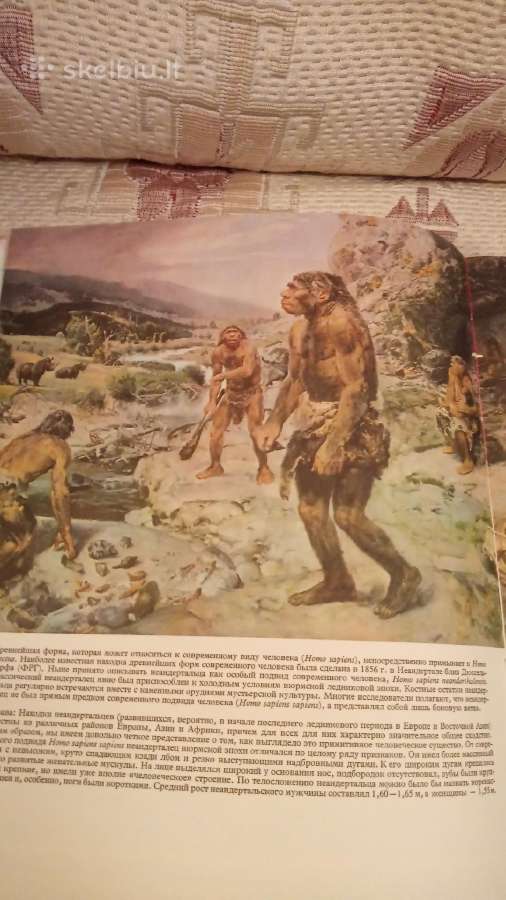 Gyvybės Žemėje istorija - nuotraukos Nr. 7