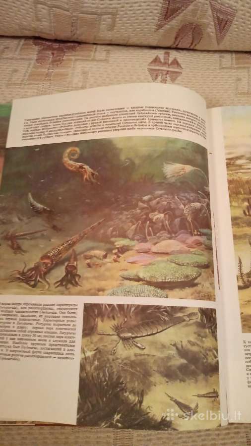 Gyvybės Žemėje istorija - nuotraukos Nr. 13