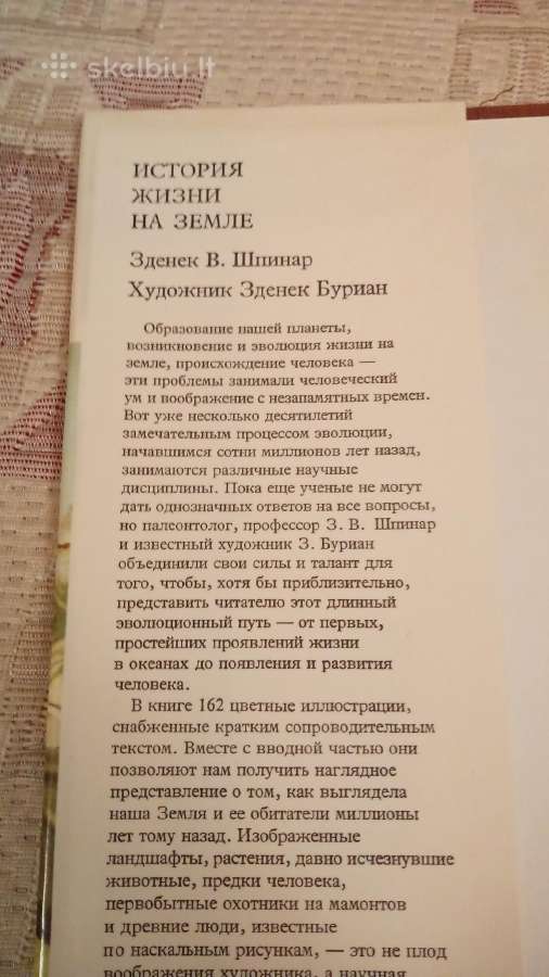 Gyvybės Žemėje istorija - nuotraukos Nr. 3